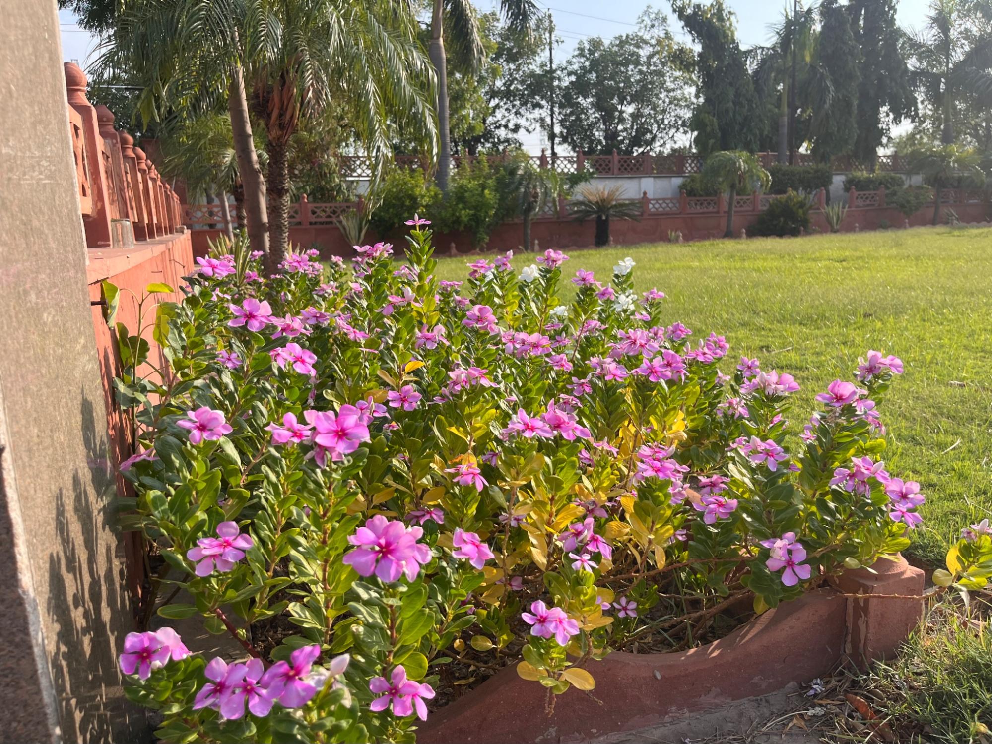 Shri Goverdhan Garden Photo 19