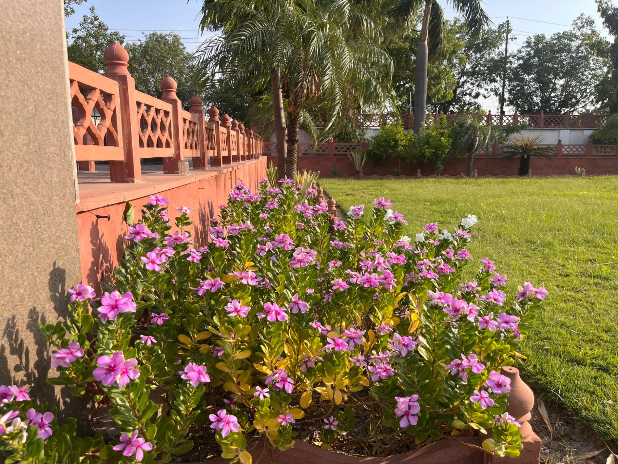 Shri Goverdhan Garden Photo 78
