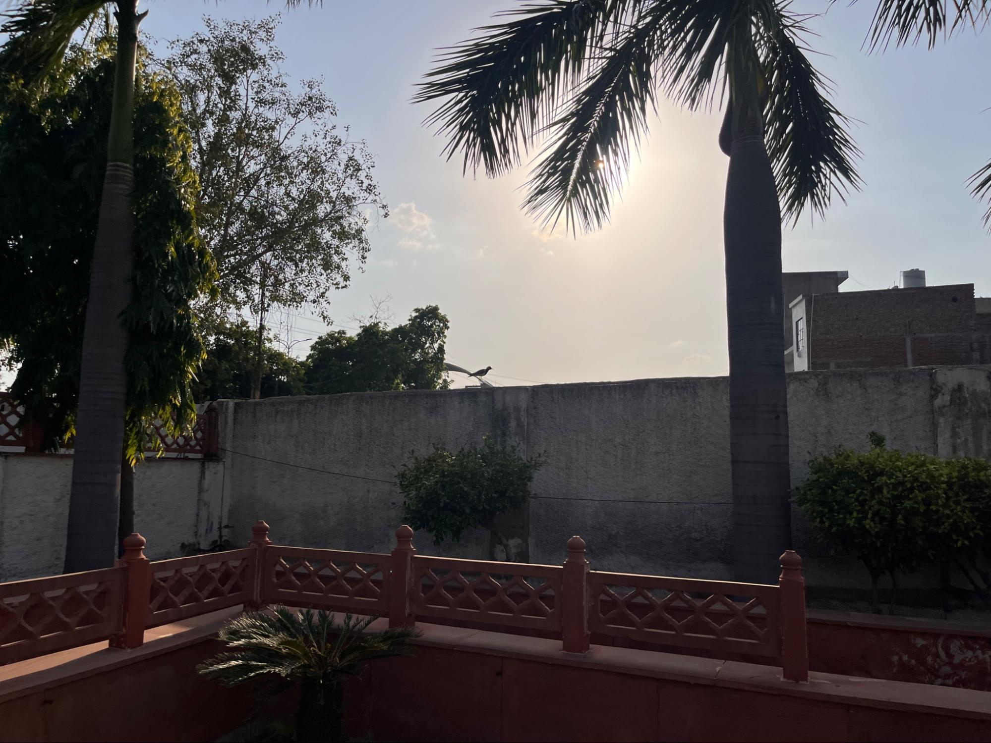 Shri Goverdhan Garden Photo 81